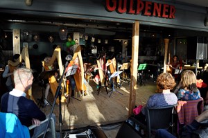 Muziekavond - Noord Hollands Harpensemble