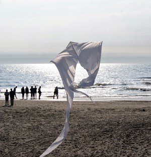 Multidisciplinaire openingsvoorstelling De Zee