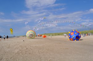Vliegerdag met vliegers van Team Fryske Draeken