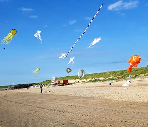 Vliegerdag met vliegers van Team Fryske Draeken
