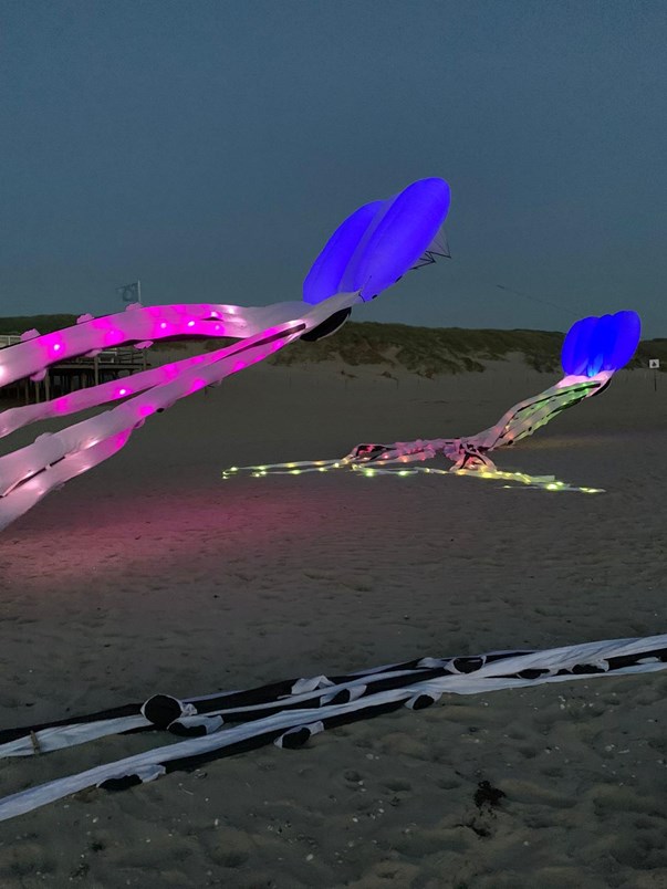 Opening Ku(n)stroute Zijpe aan Zee, 10 juni 2022