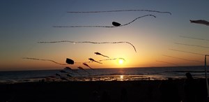Opening Ku(n)stroute Zijpe aan Zee, 10 juni 2022